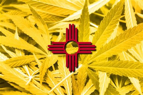 MaryJane NM: A Comprehensive Guide to Cannabis in the Land of Enchantment