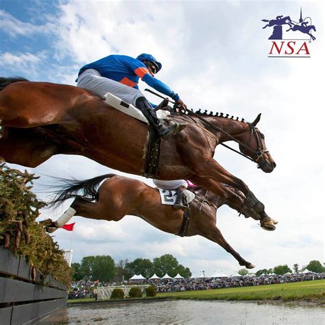 Maryland  Steeplechasing Doc