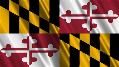 Maryland Pride Meets Unmatched Comfort