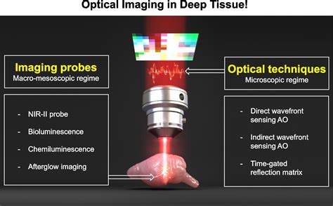 Masquerade DTI: Uncovering the Myriad Applications of Deep Tissue Imaging