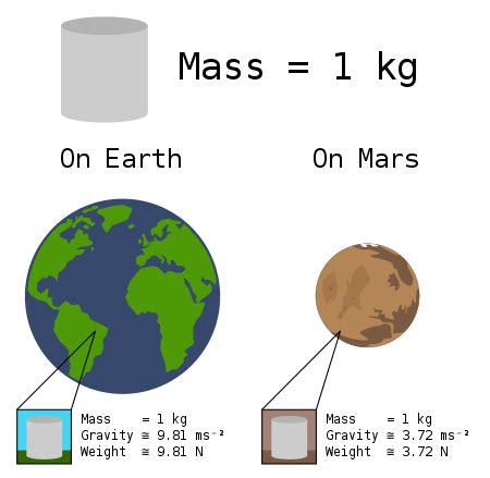 Masse en Poids: A Comprehensive Guide to Mass and Weight