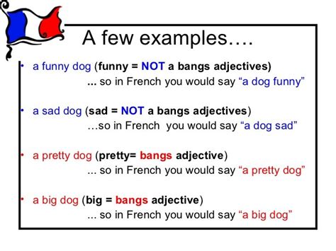 Master French Fluency: Unlock the Power of BANGS Adjectives!