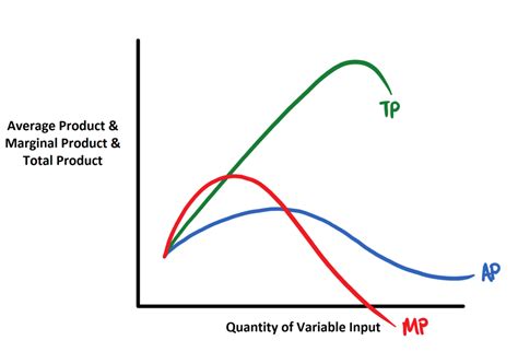 Master Marginal Product in Minutes with Quizlet: Ace Your Economics Exams!