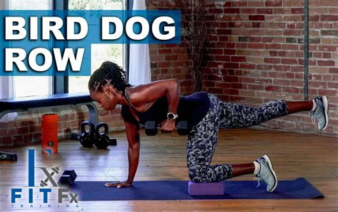 Master the Bird Dog Row: A Comprehensive Guide to Building Core Strength and Stability