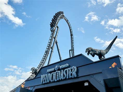 Master the Raptor Ride: