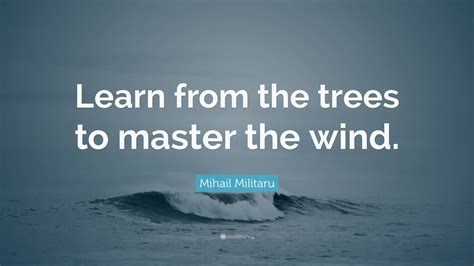 Master the Wind: