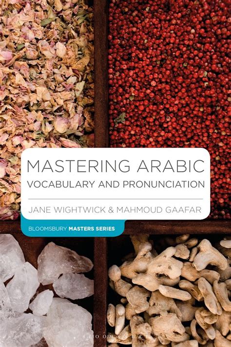 Mastering Arabic Pdf PDF