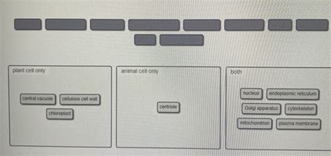 Mastering Biology Chapter 7 Answers Doc