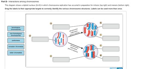 Mastering Biology Interactions Among Chromosomes Answers Reader