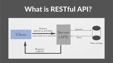 Mastering DRF Bets: A Comprehensive Guide to Data Representation in RESTful APIs