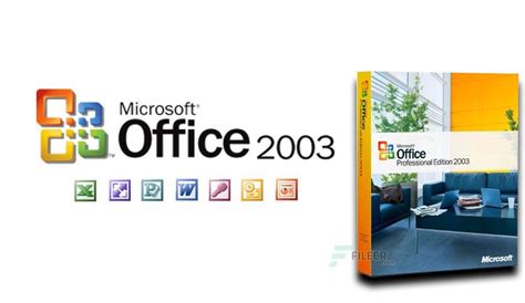 Mastering Microsoft Office, 2003 for Business Professionals Epub