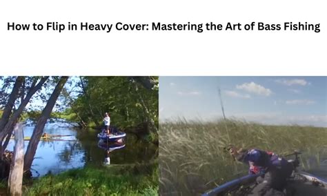 Mastering the Art of Bass Fishing with Bass & Co.