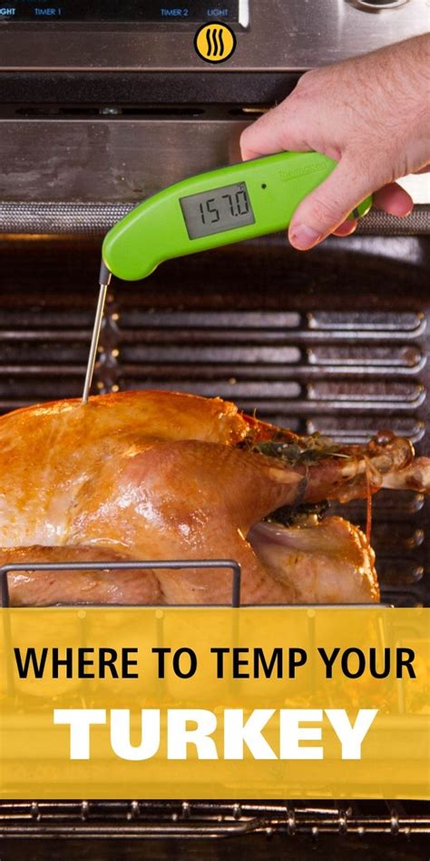 Mastering the Art of Thermometry: A Comprehensive Guide to Thermometer Placement for a Perfectly Cooked Turkey