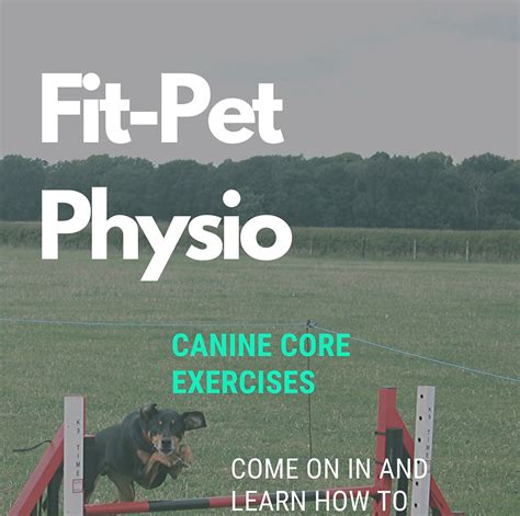 Mastering the Canine Core: