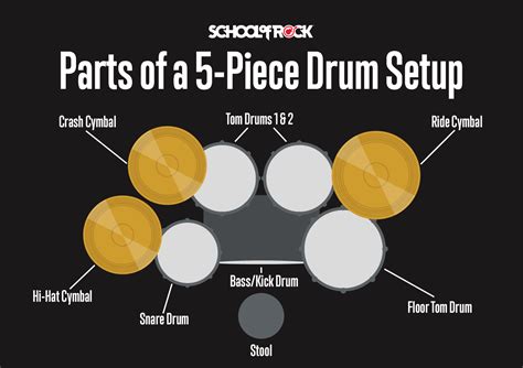 Mastering the Essence of Rhythm: The Ultimate Guide to Drum Bearing