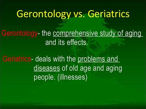 Masters in Gerontology: A Comprehensive Guide to the Field of Aging Studies