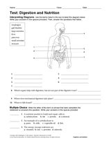 Mastery Test Answers Digestion And Nutrition PDF