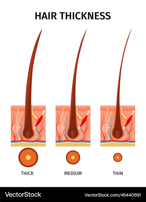 Match Clip Type to Hair Thickness: