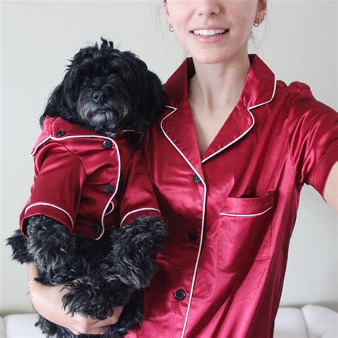 Matching dog and owner pajamas