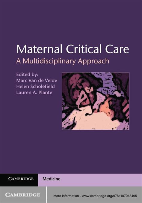 Maternal Critical Care A Multidisciplinary Approach PDF