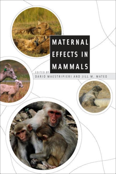 Maternal Effects in Mammals Epub