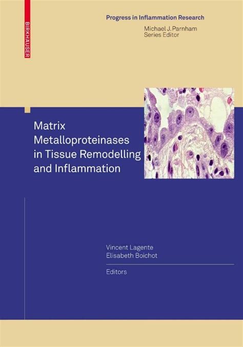 Matrix Metalloproteinases 1st Edition Epub