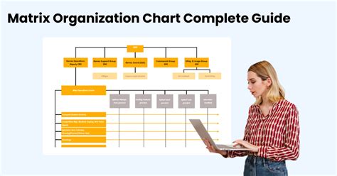 Matrix Organizational Chart Examples