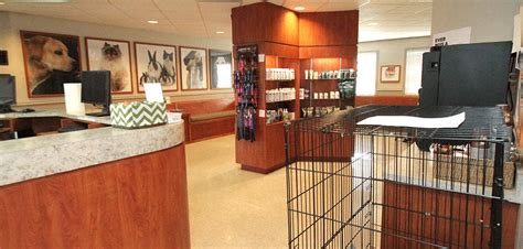 Matthews Animal Clinic Matthews NC: 30+ Years of Exceptional Pet Care