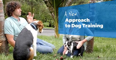 Mau_white: Your Revolutionary Approach to Dog Training