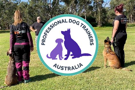 Max and Alice Uniforms: Empowering Dog Trainers with Confidence and Professionalism