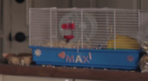 Max the Hamster: