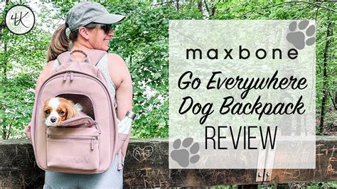 Maxbone: The Ultimate Solution for Pet Behavior in 2025