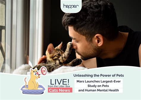 Maxbone: Unleashing Pet Mental Health in 2025