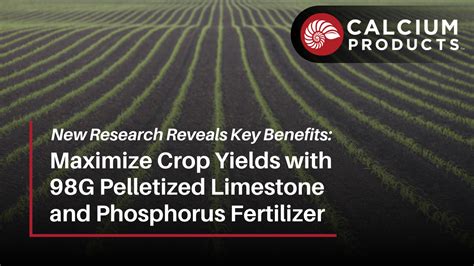 Maximize Crop Yields with Customized Fertilizer Pellets