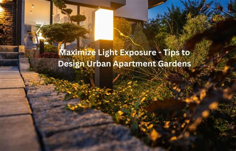 Maximize Light Exposure: