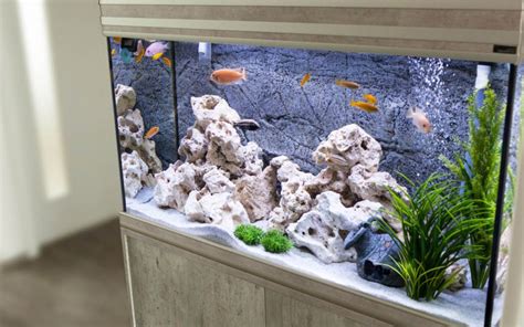 Maximize Your Aquarium's Health and Beauty with the Perfect Lid