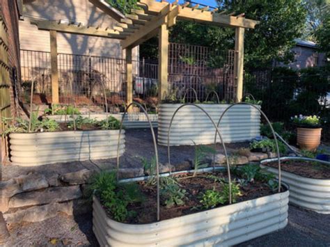 Maximize Your Garden's Potential with 3 Key Benefits