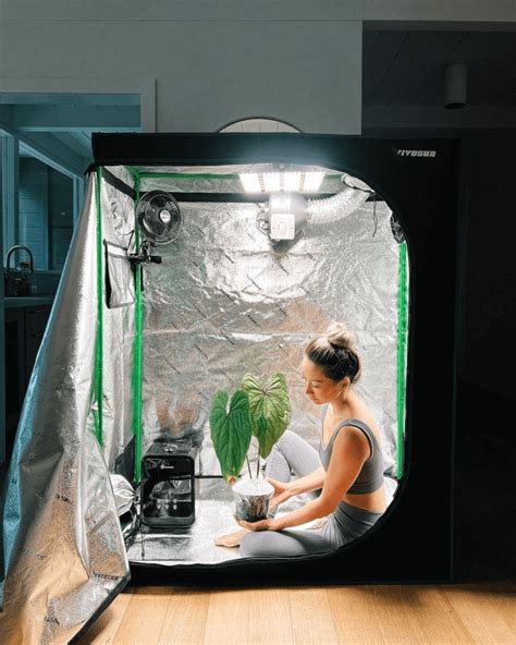 Maximize Your Grow: Unleash the Power of CO2 Systems for Grow Tents