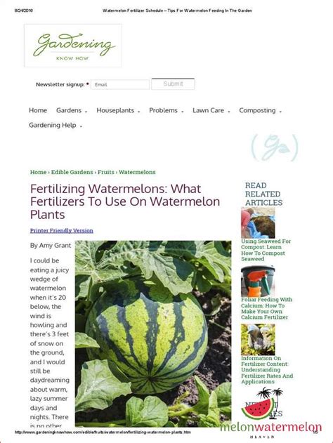 Maximize Your Melon: A Comprehensive Guide to Watermelon Fertilizer