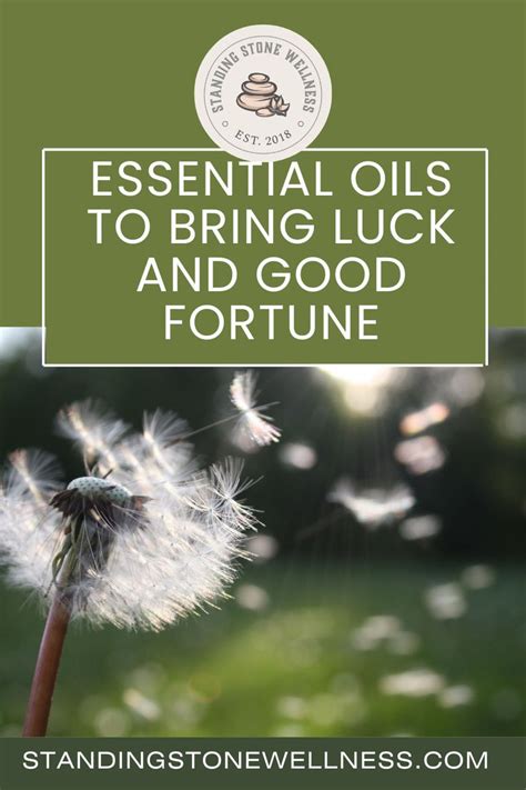 Maximizing Your Luck: The Essential Guide to Lucky Daniels