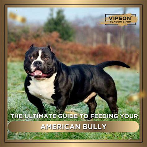 Maximum Bully Dog Food: The Ultimate Guide to Feeding Your Bully the Best