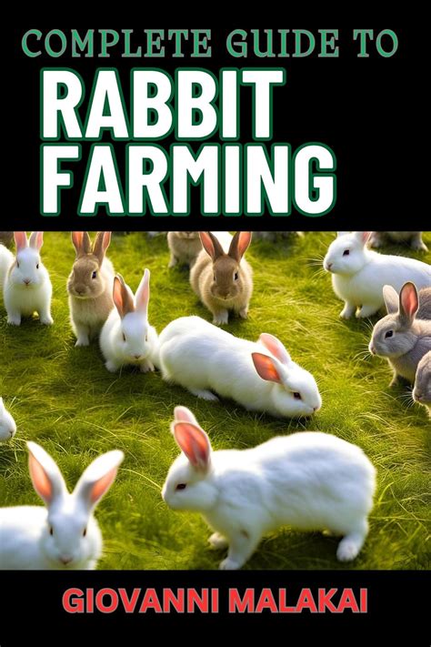 Maxximumrabbit: A Comprehensive Guide to Unlocking the Potential of Rabbit Farming