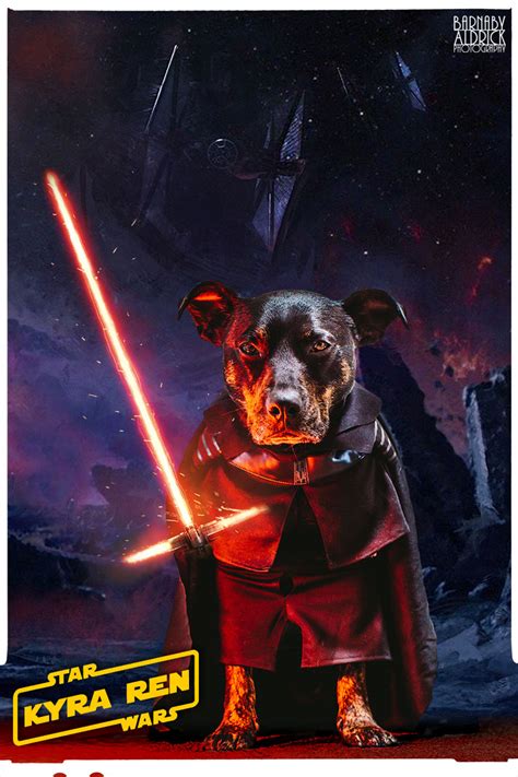 May the Furce Be with You: Unmasking the Ultimate Star Wars Dog Costume