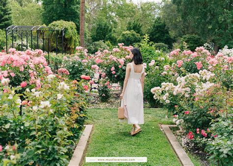 McKinley Rose Garden: Sacramento's Vibrant Floral Haven