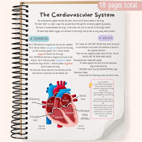 Mcgraw Hill Cardiovascular System Study Guide Ebook Reader