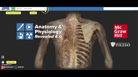 Mcgraw Hill Connect Answers Anatomy Doc