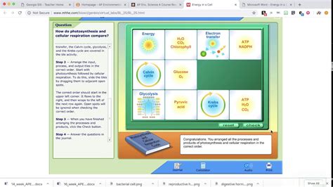 Mcgraw Hill Energy In A Cell Virtual Lab Answers Kindle Editon