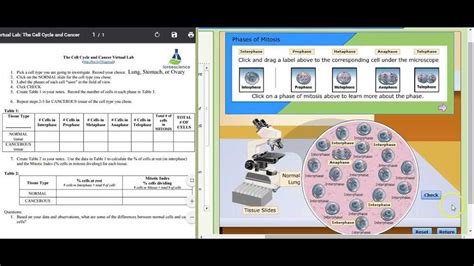 Mcgraw Hill Virtual Lab Enzyme Biology Answers Epub