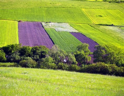 Meadows and Fields: