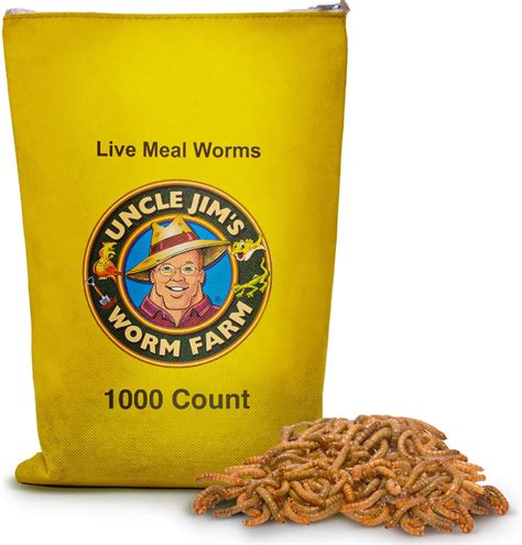 Mealworms for Sale: A Comprehensive Guide to Purchasing Live Insects